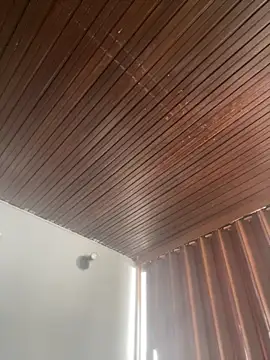 Praga Pink online show from 03/03/26, 02:13