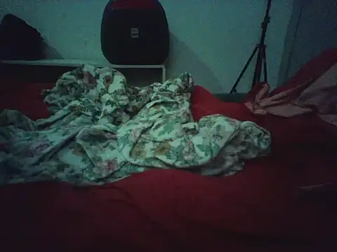 novilho18piroc online show from 05/25/26, 05:22