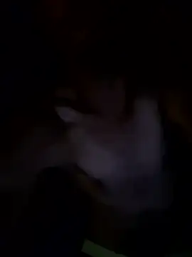 kjs daddy123 online show from 07/03/26, 04:52