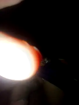 pauviciantegg online show from 09/15/25, 02:34