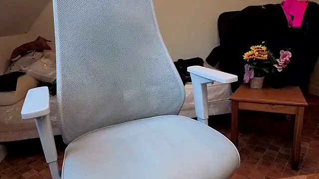 SteveStiffbone online show from 02/16/26, 02:37