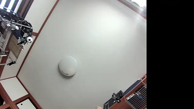 tuki fu online show from 12/08/24, 03:07