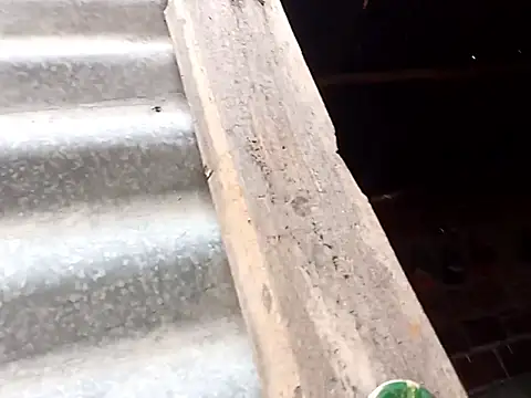 Snapshot of tayson_ chatting on 10/15/25, 11:18 tayson online show from 10/15/25, 11:18