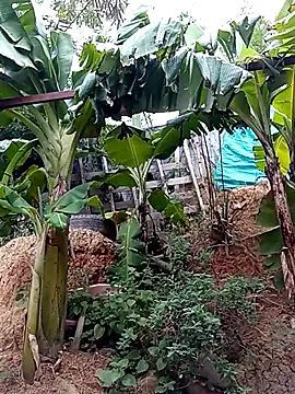 Snapshot of tayson_ chatting on 03/15/25, 11:40 tayson online show from 03/15/25, 11:40