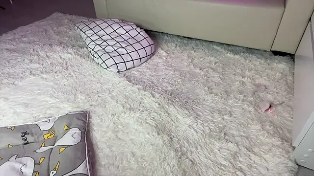 Dylan mercy online show from 02/19/25, 03:16