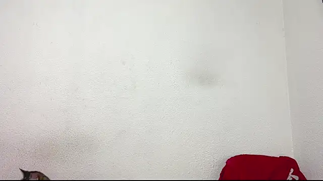 logan x3 online show from 03/31/26, 04:14