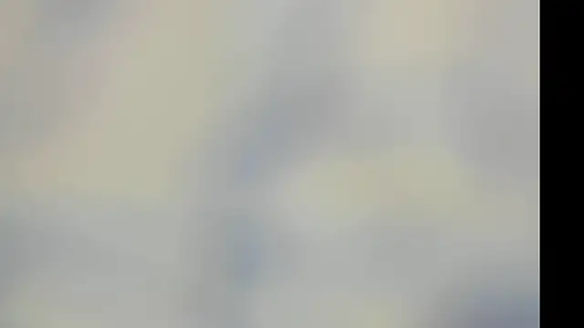 elis gabbi online show from 11/29/25, 03:12