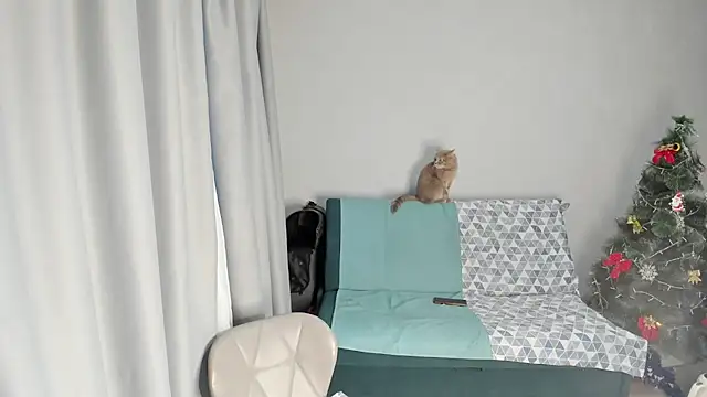 elis gabbi online show from 12/19/25, 08:49