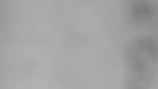 elis gabbi online show from 02/28/26, 02:44