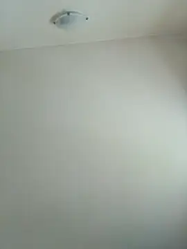 Virgin Pussy Love online show from 06/12/26, 11:52