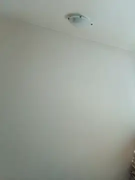 Virgin Pussy Love online show from 07/16/26, 04:59