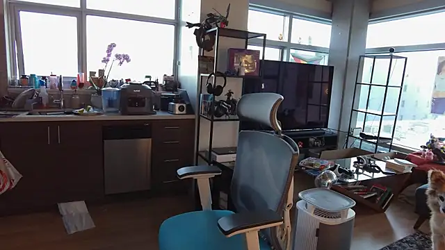 bearcloudcomputa online show from 12/30/24, 12:11