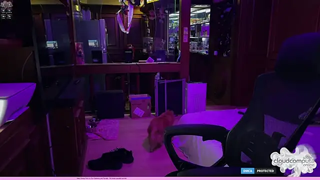 bearcloudcomputa online show from 03/01/26, 08:36