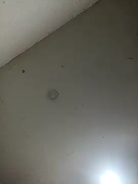 Snapshot of jeremiabello chatting on 02/28/25, 04:32 jeremiabello online show from 02/28/25, 04:32