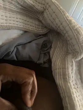 Snapshot of tokenkingtn chatting on 12/05/25, 04:05 tokenkingtn online show from 12/05/25, 04:05