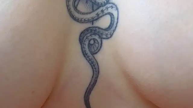 Snapshot of Your_Auggie chatting on 03/12/25, 02:12 Your Auggie online show from 03/12/25, 02:12