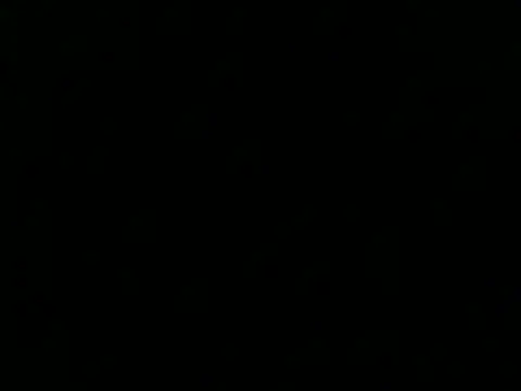 culalimer online show from 11/15/25, 01:26