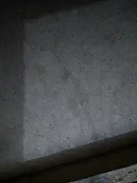 Leocesar37 online show from 03/11/26, 03:44