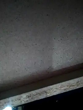 Snapshot of Leocesar37 chatting on 11/15/25, 04:49 Leocesar37 online show from 11/15/25, 04:49