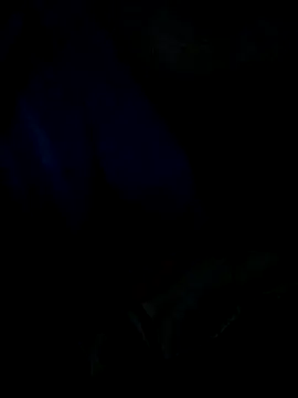 Leocesar37 online show from 04/03/26, 04:57