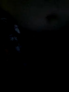 Snapshot of Leocesar37 chatting on 12/19/25, 03:03 Leocesar37 online show from 12/19/25, 03:03