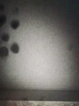 Snapshot of Leocesar37 chatting on 09/12/25, 07:19 Leocesar37 online show from 09/12/25, 07:19