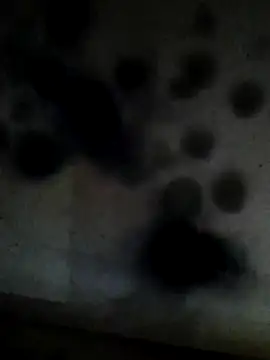 Leocesar37 online show from 02/10/26, 06:01