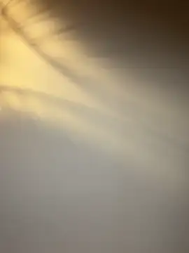 lola tentatiion online show from 02/17/26, 09:01