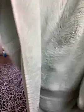 Mingtian4117 online show from 01/14/26, 01:48