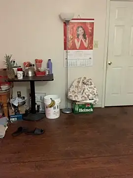 Mingtian4117 online show from 11/30/25, 02:29