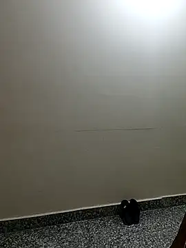 Snapshot of Saroj-Shah chatting on 04/02/26, 03:35 Saroj-Shah online show from 04/02/26, 03:35