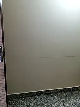 Snapshot of Saroj-Shah chatting on 04/05/26, 04:19 Saroj-Shah online show from 04/05/26, 04:19