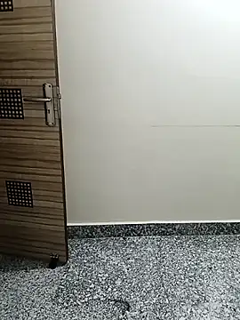 Snapshot of Saroj-Shah chatting on 04/05/26, 04:24 Saroj-Shah online show from 04/05/26, 04:24