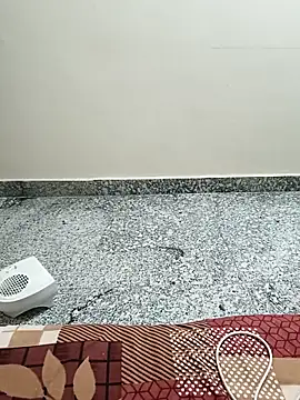 Snapshot of Saroj-Shah chatting on 03/20/26, 06:25 Saroj-Shah online show from 03/20/26, 06:25