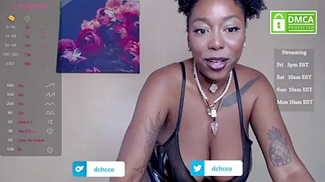 dchcco online show from 11/08/25, 04:32
