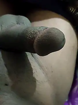 pusssyhub online show from 12/02/25, 07:48