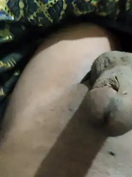 pusssyhub online show from 11/25/25, 12:00