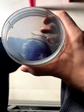 Snapshot of Privateseducer chatting on 09/25/25, 03:34 Privateseducer online show from 09/25/25, 03:34