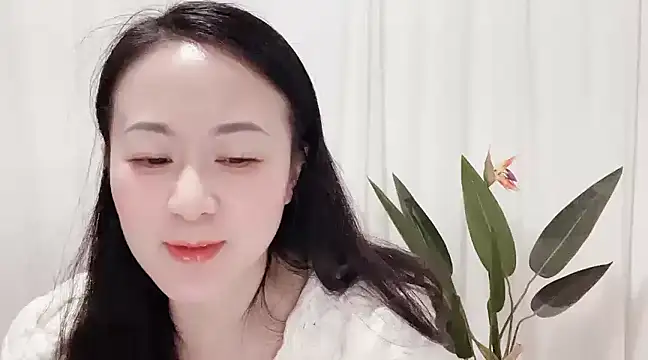 fanfan-FF online show from 03/04/25, 11:29