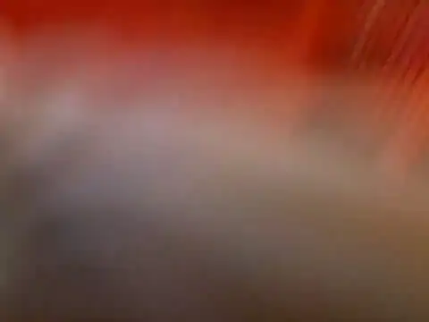 Snapshot of Lexxstacy chatting on 07/13/26, 09:03 Lexxstacy online show from 07/13/26, 09:03