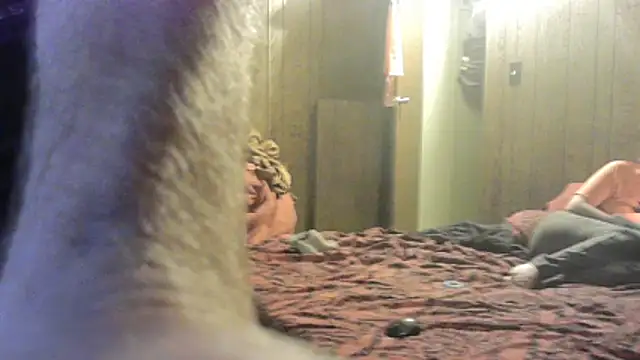 dcockell online show from 02/19/26, 08:11