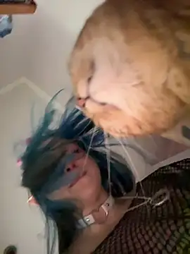 MaddisonHaas online show from 10/28/25, 12:44