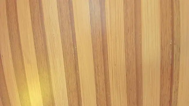 Taylor  cooper online show from 02/07/26, 06:38