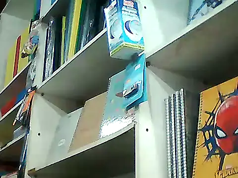 Snapshot of barboza991 chatting on 10/15/25, 07:33 barboza991 online show from 10/15/25, 07:33