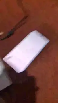 Lina lolo online show from 04/11/26, 08:34