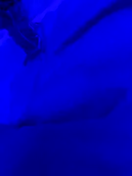 Snapshot of Hugo76578 chatting on 10/10/25, 11:33 Hugo76578 online show from 10/10/25, 11:33