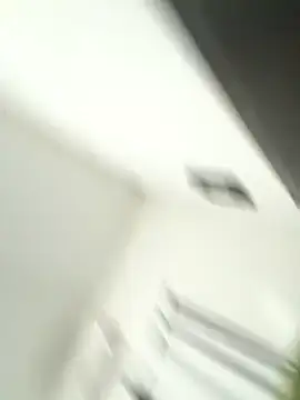 joselo8888 online show from 11/14/25, 03:48