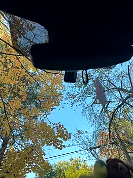 KBD85 online show from 11/02/25, 08:58