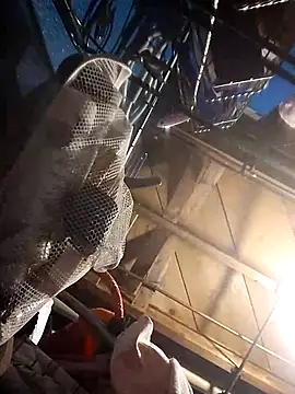 Whipit323 online show from 12/22/24, 05:42