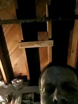 Whipit323 online show from 02/22/26, 08:49